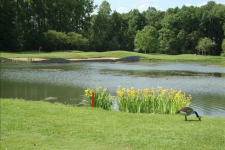 Bossenstein Golf & Country Club - Belgie - Antwerpen - 25