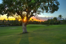 Casa de Campo Resort & Villas - Dominicaanse Republiek - La Romana - 04