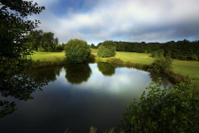 Sandford Springs Hotel and Golf Club - Engeland - Kingsclere - 13