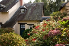 Cottages-de-la-Bretesche-Frankrijk-Midden-West-Frankrijk-Briere-16