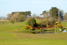 Roganstown Hotel & Country Club - Ierland - Swords - 36