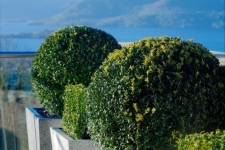 Aghadoe-Heights-Hotel-Spa-Ierland-Kerry-Killarney-14