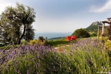 Lefay-Resort-Spa-Lago-Di-Garda-Italie-Gardameer-Gargnano-16