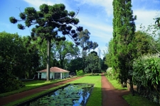 Casa Velha do Palheiro - Madeira 15.jpg