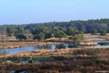 Hotel-Auberge-De-Papenberg-Nederland-Limburg-Hengeland-21