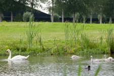 Golf Aparthotel Delden - Nederland - Twente - 42