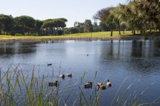 hotel-quinta-da-marinha-hole-6-2