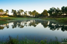 Praia D'El Rey Golf (2)