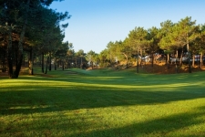 Praia D'El Rey Golf (3)