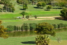 Husa Alicante Golf & Spa Resort - 45.png