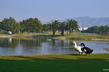 hotel-bonalba-golf-alicante-45