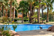 hotel-husa-alicante-golf-08