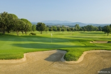 TorreMirona #16 Green