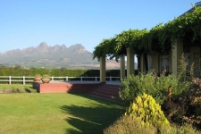 lyngrove-wines-and-guesthouse-golfreizen-zuid-afrika-stellenbosch-16